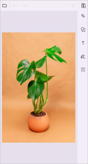 Toolbar Orientation in .NET Maui ImageEditor