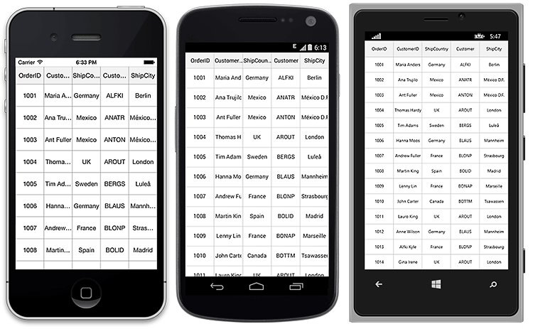 DataGrid with default appearance