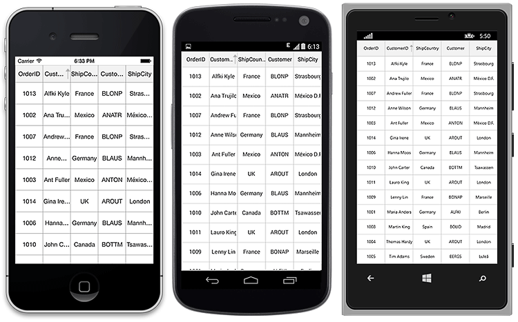 DataGrid with sorting applied